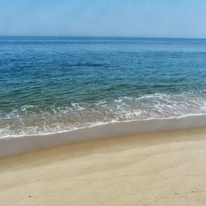 Meet your Posher, Catharine